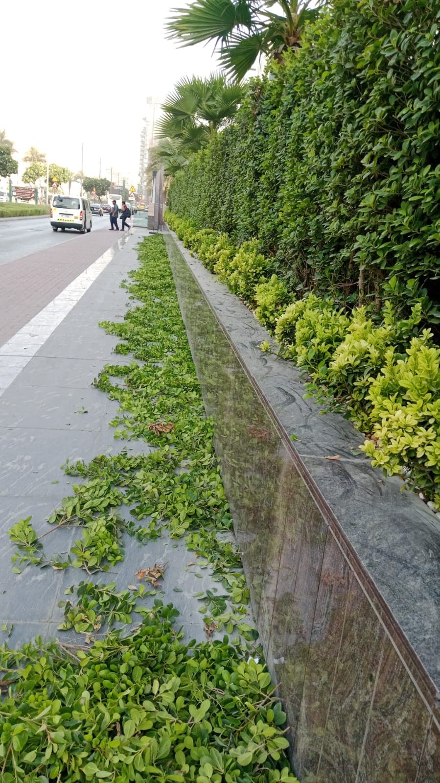 Sustainable Landscaping